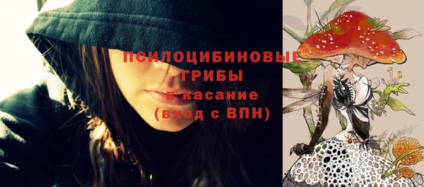 a pvp Инта