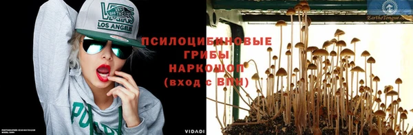 mix Инсар