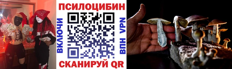 Псилоцибиновые грибы мицелий  Купить где  Карпинск 